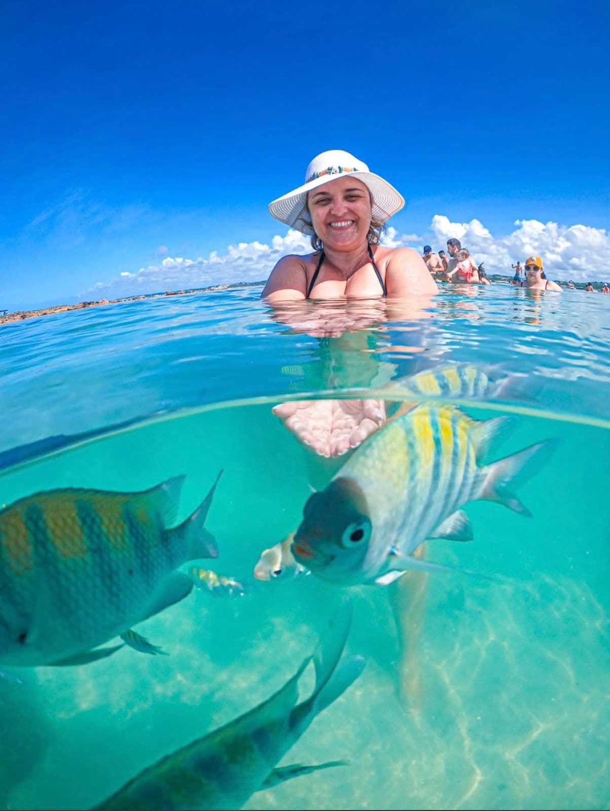 Piscinas naturais de Maragogi